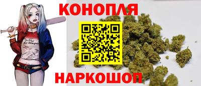 apvp Кунгур