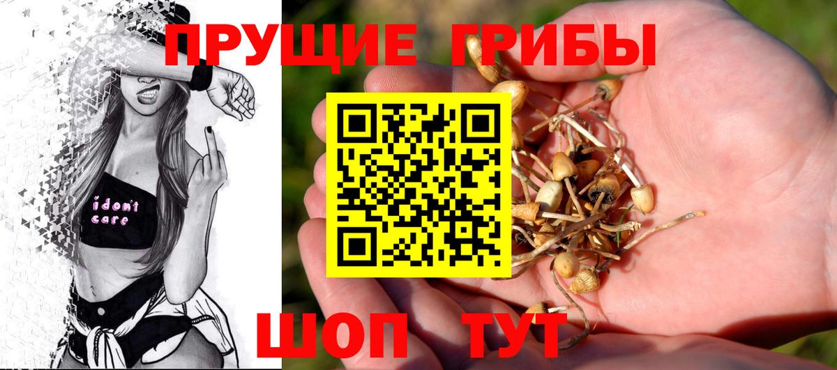 Псилоцибиновые грибы MAGIC MUSHROOMS  Вход с VPN  Дубна 