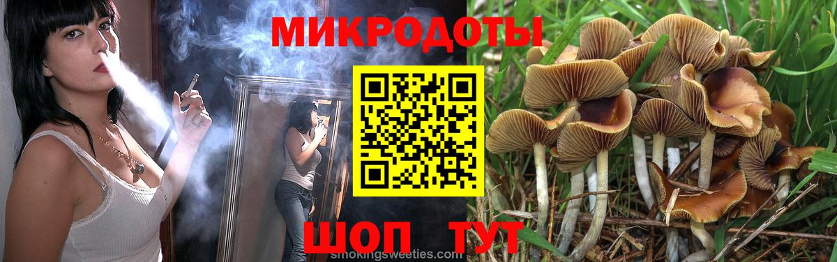 Псилоцибиновые грибы Cubensis Дубна